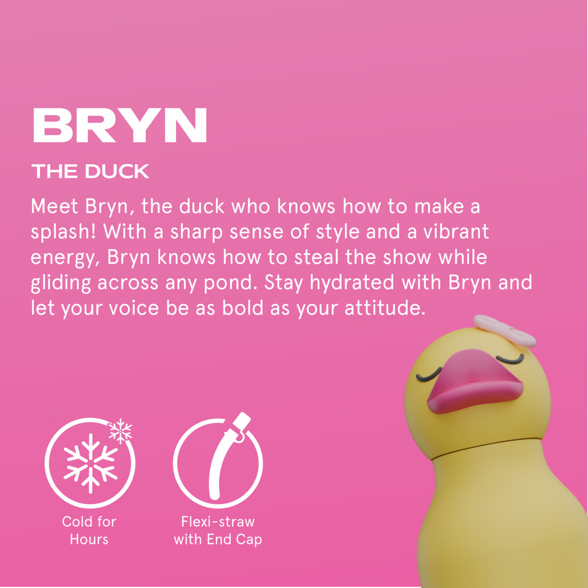 Asobu Ducky Bestie Bottle 7