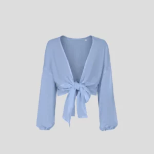 Clara Himmel Wickelbluse Light Blue5.png